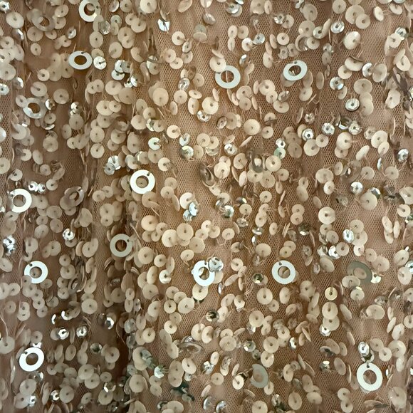 Adrianna Papell Halter Blush Beaded Gown - Picture 3 of 3